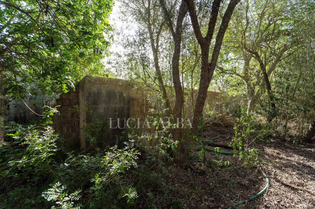 LG-011-21.webp