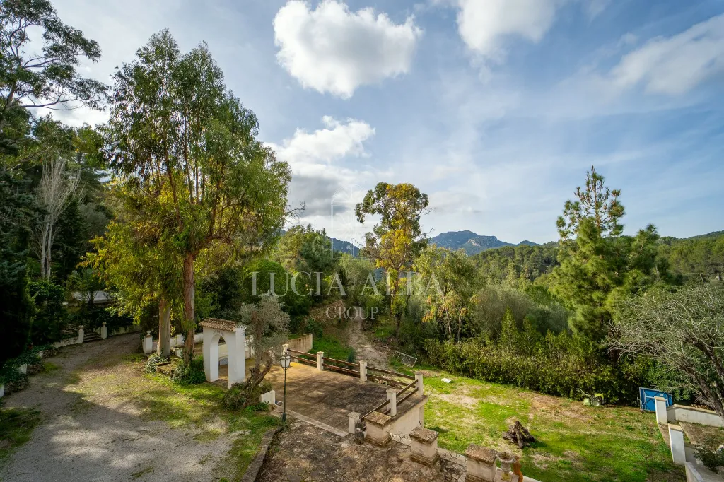 LG-002-37.webp